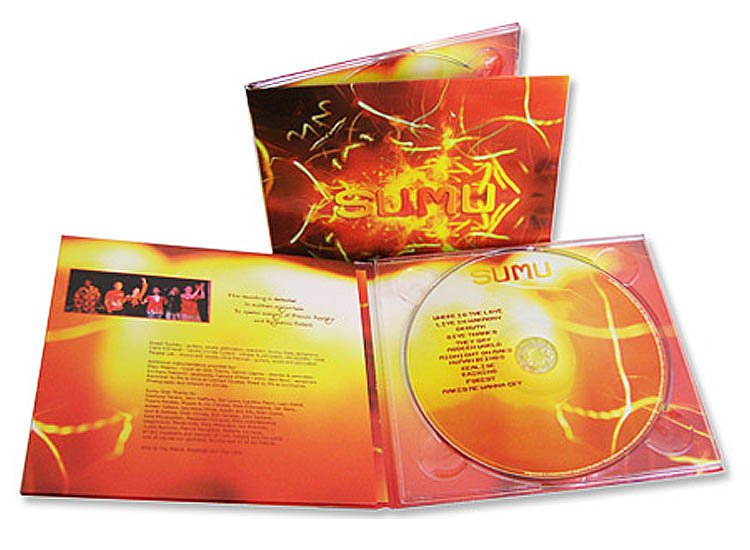 4 panel CD digipack clear tray